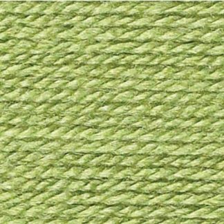 Special DK by Stylecraft - Meadow 1065