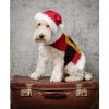 Santa Dog Coat and Hat 9310 by Stylecraft