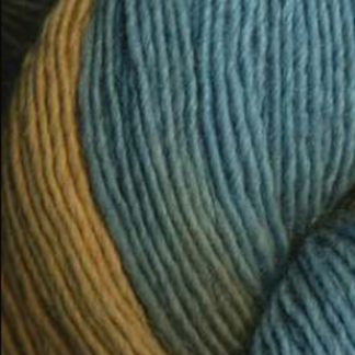 Alternative view of Araucania Nuble