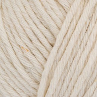 ReCreate Chunky by Stylecraft - Ecru 1941